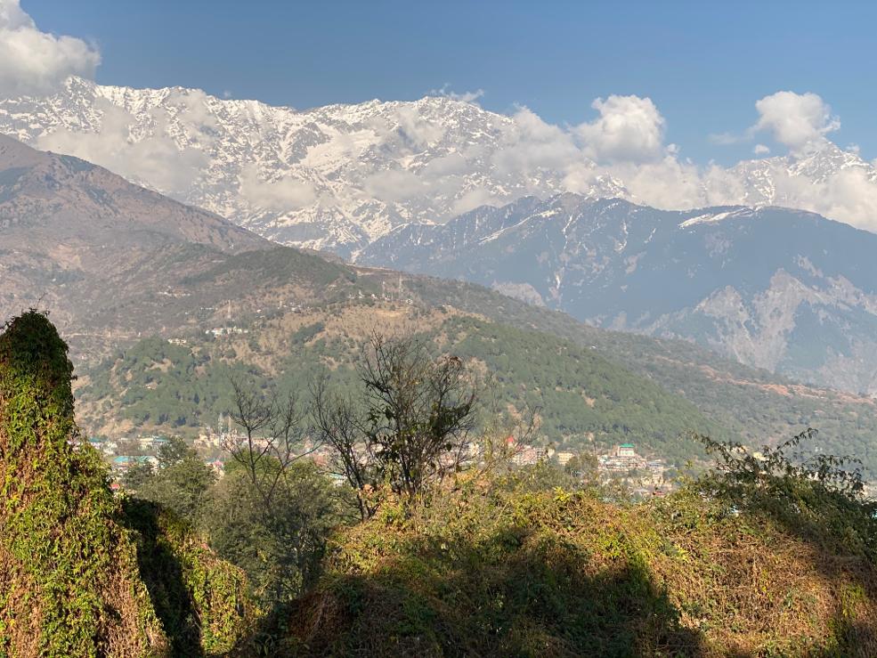 Visit Pong Dam Near Dharamshala Himachal Pradesh