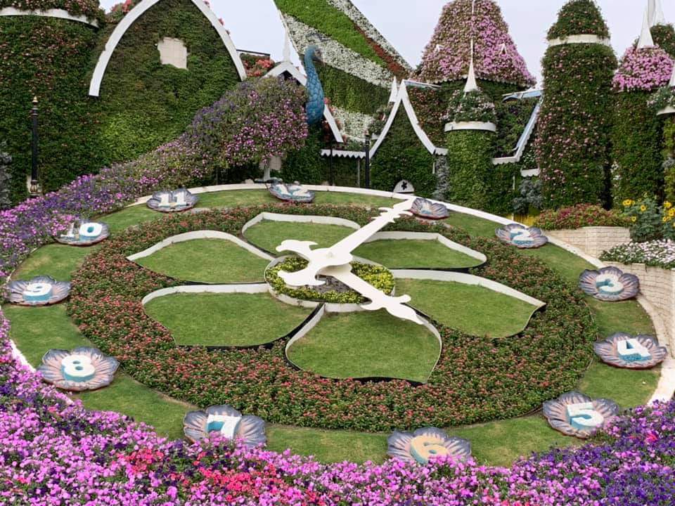 Visit to Miracle Garden - Dubai