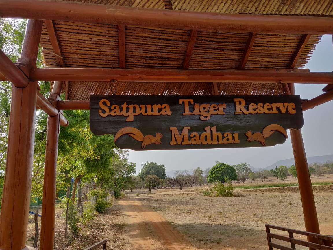 Safari at Satpura National Park