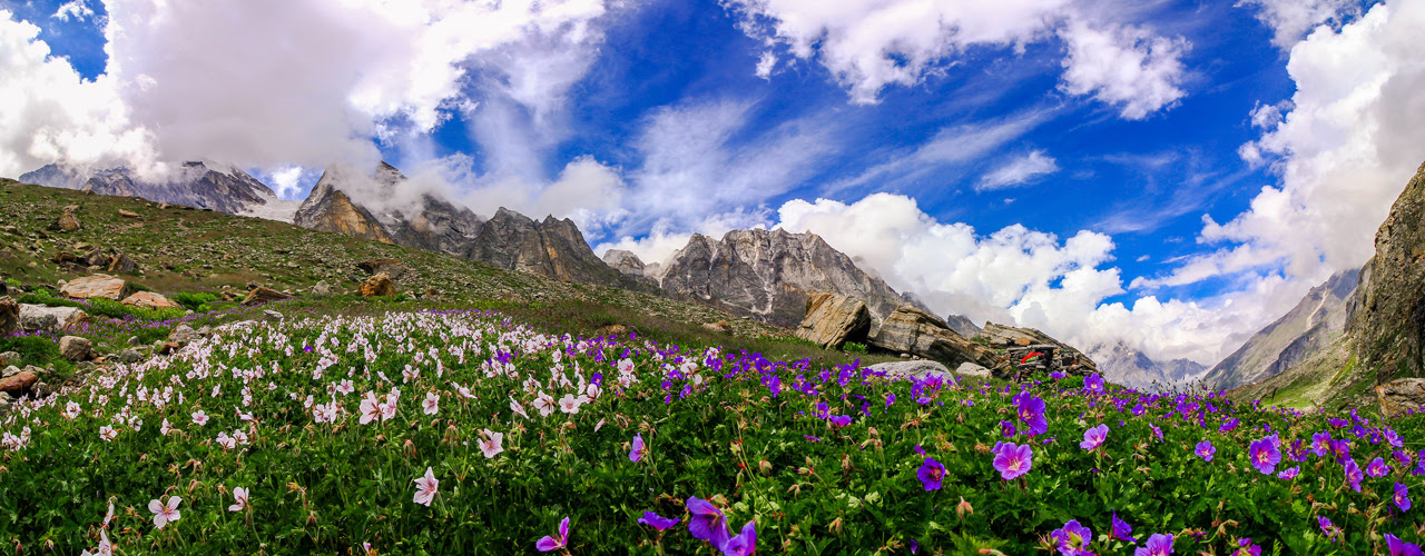 Explore The Most Beautiful & Scenic Valley of Flowers - Uttranchal