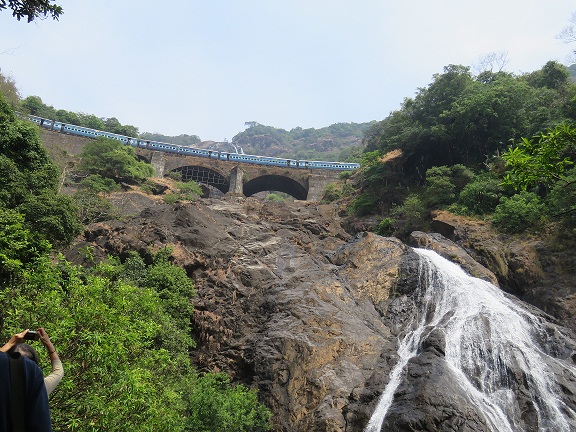 Full Day Private Tour To Dudhsagar Falls And Spice Plantation From Goa