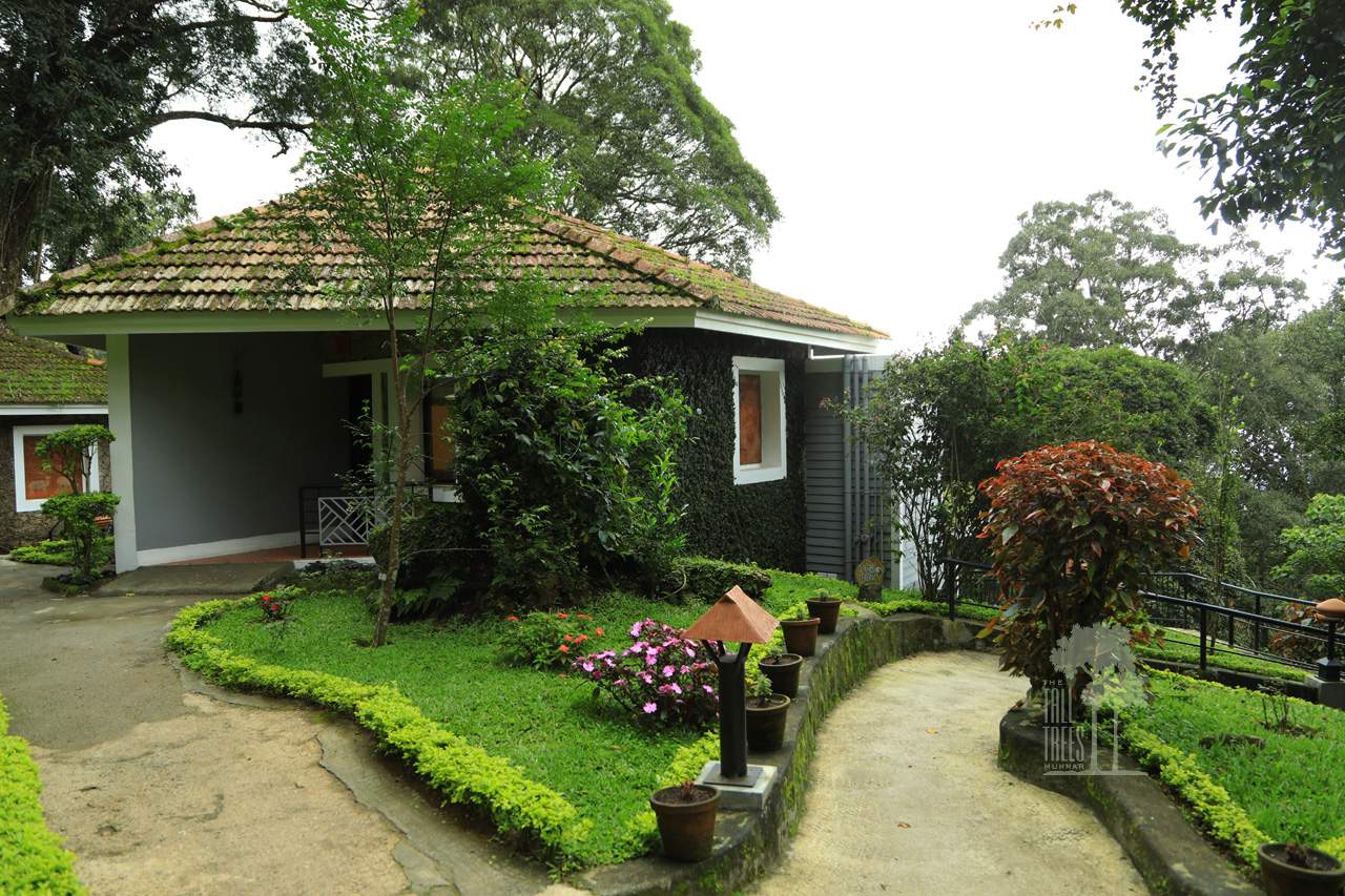 The%20Tall%20Trees%20Resorts%20Munnar%20outer%20view.jpg